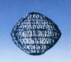 ���w��̖��